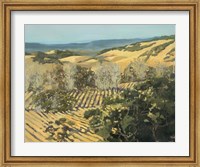 Framed Winter Vineyard