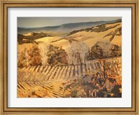 Framed Autumn Vineyard