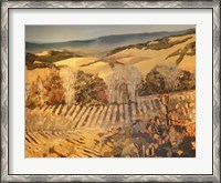 Framed Autumn Vineyard