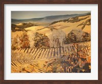 Framed Autumn Vineyard