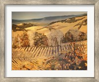 Framed Autumn Vineyard