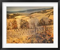 Framed Autumn Vineyard