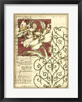 Bella Sonata I Framed Print