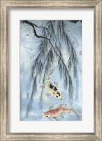 Framed Golden Koi