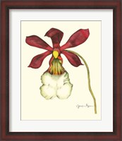Framed Majestic Orchid II