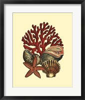 Coral Medley I Framed Print