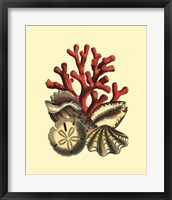 Framed Coral Medley II