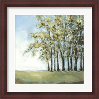 Framed Tree in Summer