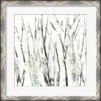 Framed Birches I