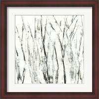 Framed Birches I