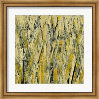 Framed Birches III