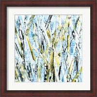 Framed Birches IV