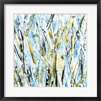 Framed Birches IV