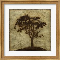 Framed Gilded Tree IV