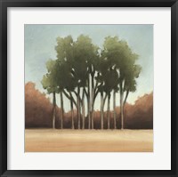 Framed Stand of Trees I