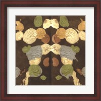 Framed Rorschach Abstract I
