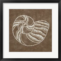 Framed Embroidered Shells II