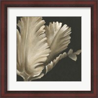 Framed Classical Blooms I