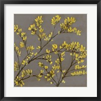 Forsythia I Framed Print