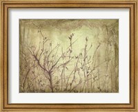 Framed Dancing Branches II
