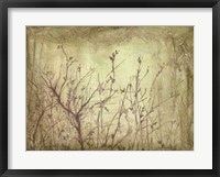 Dancing Branches II Framed Print