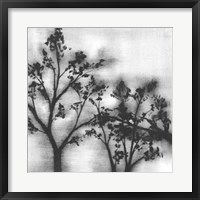 Framed Silvery Trees I