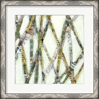 Framed Lemongrass I