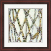 Framed Lemongrass II