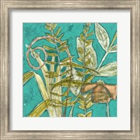 Framed Tropical Melange I