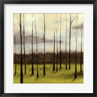 Sunlit Treeline II Framed Print