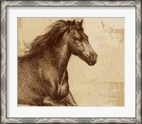 Framed Majestic Horse I