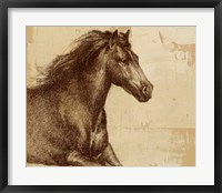 Majestic Horse I Framed Print