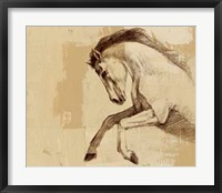 Majestic Horse II Framed Print