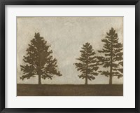 Silver Pine I Framed Print