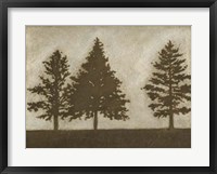 Silver Pine II Framed Print