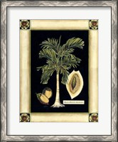 Framed Paradise Palm V