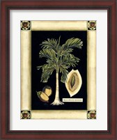 Framed Paradise Palm V
