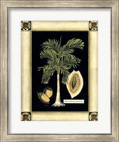 Framed Paradise Palm V
