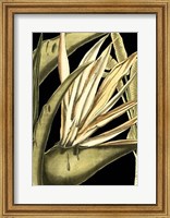 Framed Tranquil Tropical Leaves III