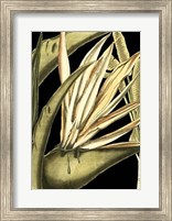 Framed Tranquil Tropical Leaves III