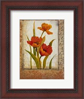 Framed Tulip Inset II
