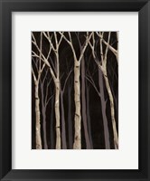 Framed Midnight Birches I