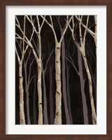 Framed Midnight Birches I