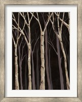 Framed Midnight Birches I