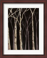 Framed Midnight Birches II