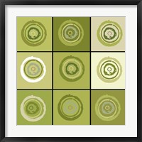 Framed Concentric Sage