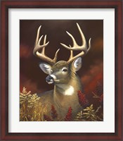 Framed Deer Portrait