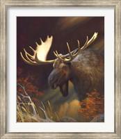Framed Moose Portrait