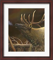 Framed Elk Portrait I