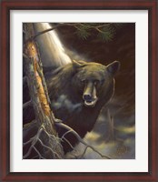 Framed Bear Portrait